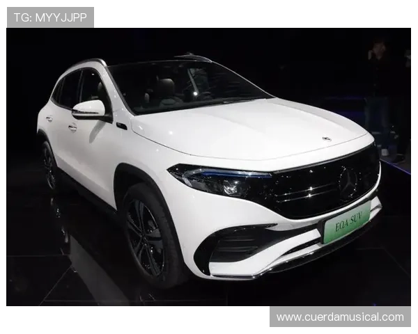 访问奔驰宝马旗舰网站，获取最优购车方案