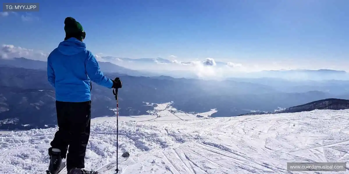 顶级电竞捕鱼大厅:职业海洋千炮战,高清carry燃爆